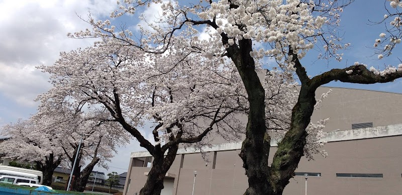 常陸大宮市役所