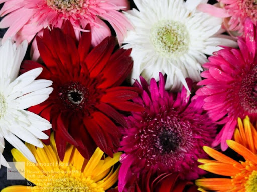 Florist «Rosemount Floral», reviews and photos, 2978 145th St W, Rosemount, MN 55068, USA