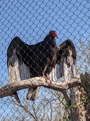 Zoo «Kansas Wildlife Exhibit», reviews and photos, 600-630 Nims N, Wichita, KS 67203, USA