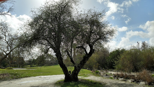 Golf Club «Lake Forest Golf and Practice Center», reviews and photos, 23308 Cherry Ave, Lake Forest, CA 92630, USA