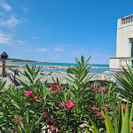 Photo n°2 de l'avis de Domi.i fait le 06/08/2021 à 07:08 sur le  Il Pizzicotto dal 1984 à Vieste