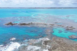 Área de Proteção Ambiental Costa dos Corais image