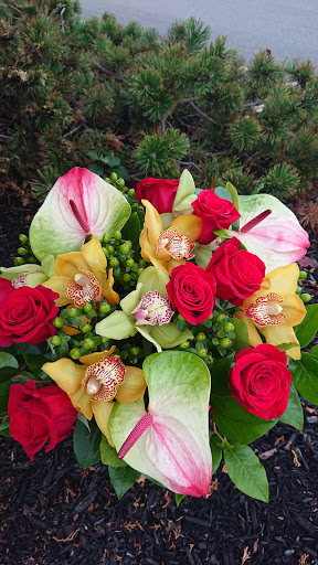 Florist «Victoria Flower Company», reviews and photos, 10869 Bustleton Ave, Philadelphia, PA 19116, USA