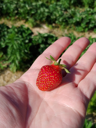 Farm «Manoff Market Gardens», reviews and photos, 3157 Comfort Rd, Solebury, PA 18963, USA