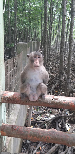 Top 20 cửa hàng play Huyện Cần Giờ Hồ Chí Minh 2022