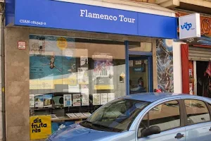 Viajes Flamenco Tour image