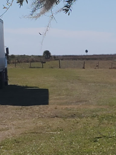 Recreation «Kissimmee Swamp Tours», reviews and photos, 4500 Joe Overstreet Rd, Kenansville, FL 34739, USA