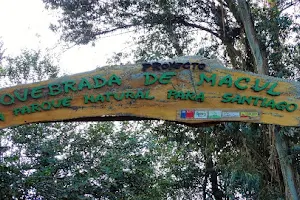 Parque Natural Quebrada de Macul image