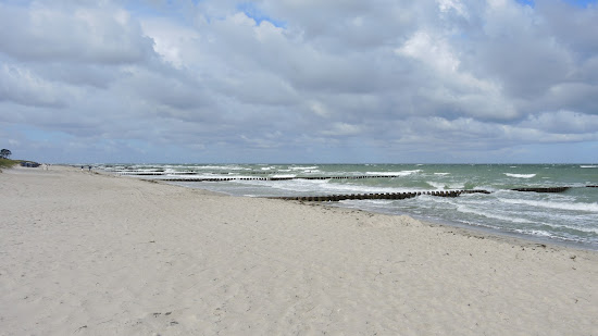 Wellenbrecher Ahrenshoop Strand