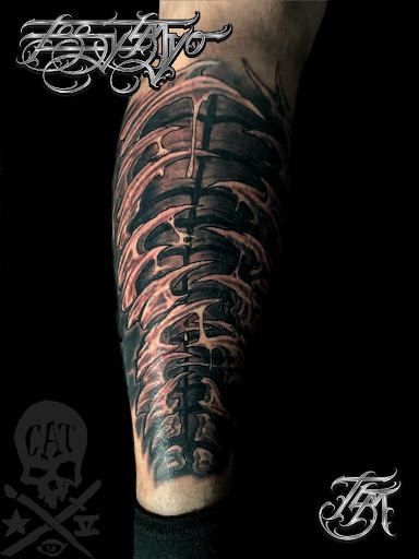 Explore tattoo ideas on stomach, creative tattoo ideas in Addison, available at Cat Tattoo