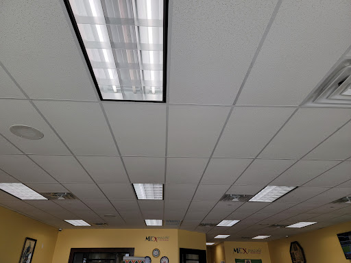 Photo of Illuminating Within Electric