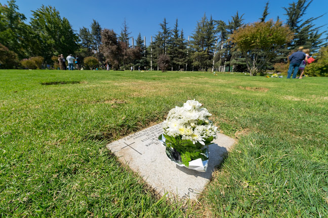 Comentarios y opiniones de Cementerio Parque del Recuerdo Américo Vespucio