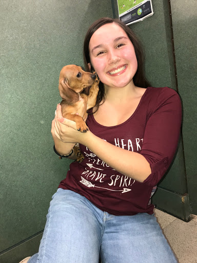 Pet Store «Petland», reviews and photos, 351 Diederich Blvd, Ashland, KY 41101, USA