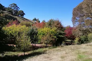 Dolbel Reserve image