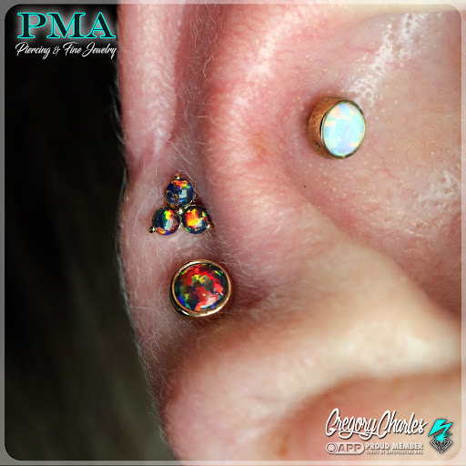 Body Piercing Shop «Wasted Youth Tattoo & PMA Piercing», reviews and photos, 1335 Lakeside Dr #1, Romeoville, IL 60446, USA