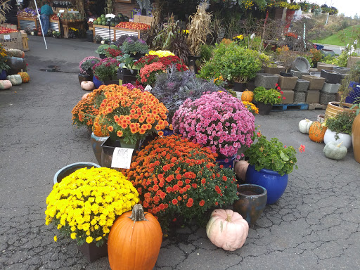 Produce Market «Tacoma Boys», reviews and photos, 5602 6th Ave, Tacoma, WA 98406, USA