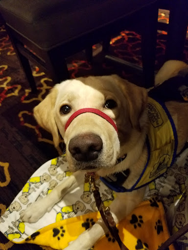 Hotel «Aliante Casino + Hotel + Spa», reviews and photos, 7300 Aliante Parkway, North Las Vegas, NV 89084, USA