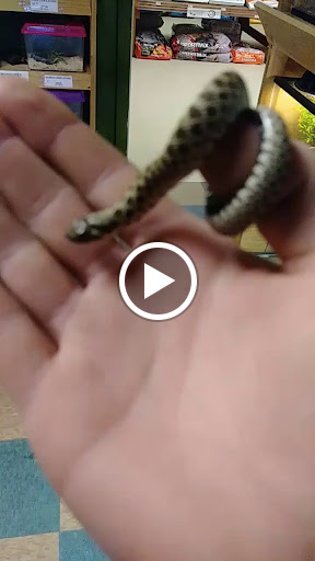 Pet Supply Store «CountryMax - Geneseo», reviews and photos, 4101 Lakeville Rd, Geneseo, NY 14454, USA