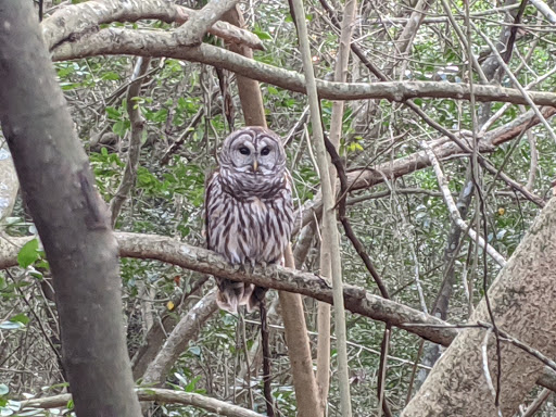 Non-Profit Organization «Houston Audubon Society», reviews and photos, 440 Wilchester Blvd, Houston, TX 77079, USA