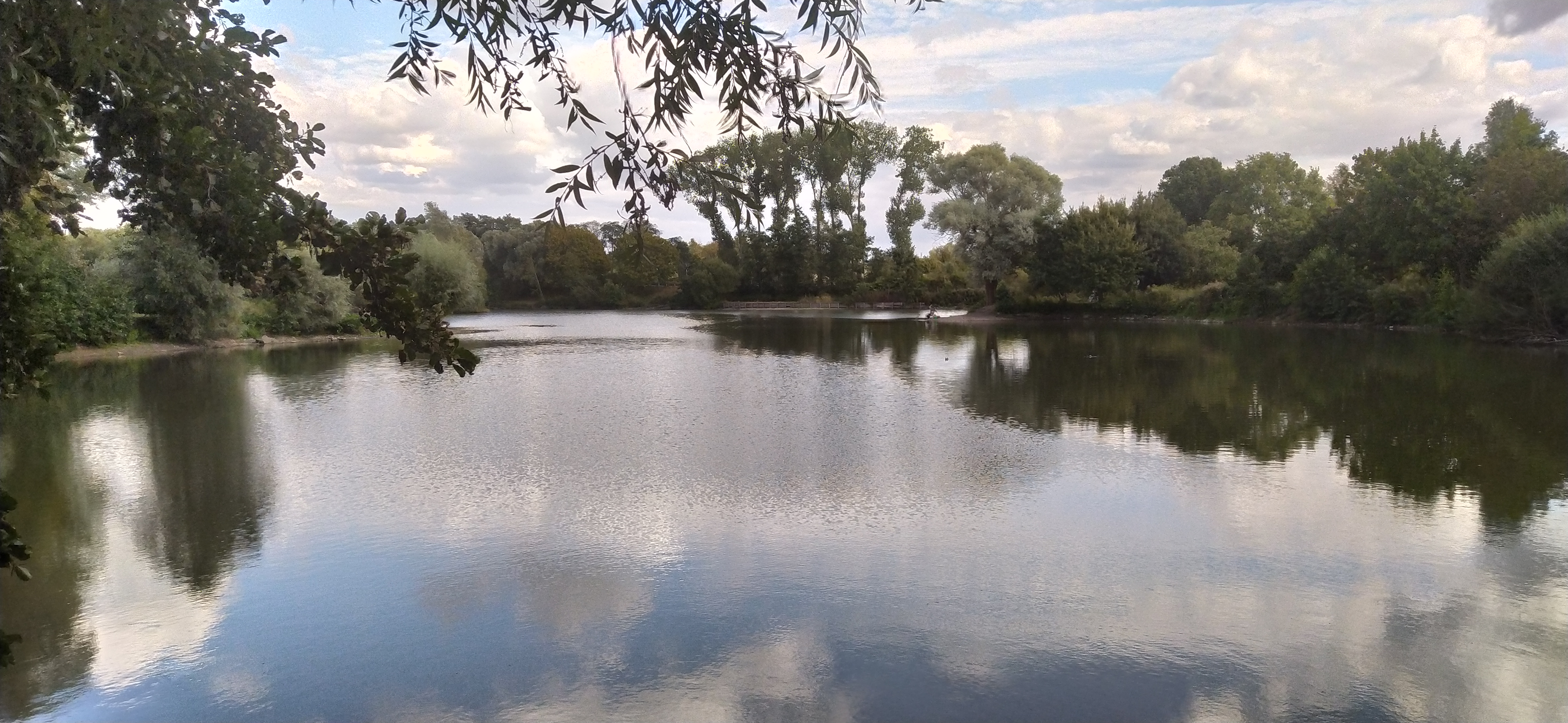 Photo n° 10 de l'avis de Hrafna.l fait le 11/09/2020 à 18:26