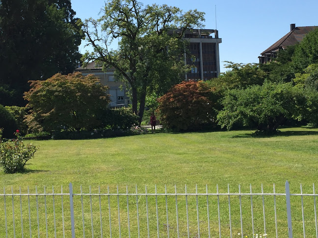 Rezensionen über Villa Bär in Arbon - Museum