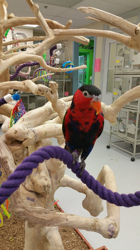 Pet Store «Woofmeow Family Pet Center», reviews and photos, 19 Manchester Rd Suite A, Derry, NH 03038, USA