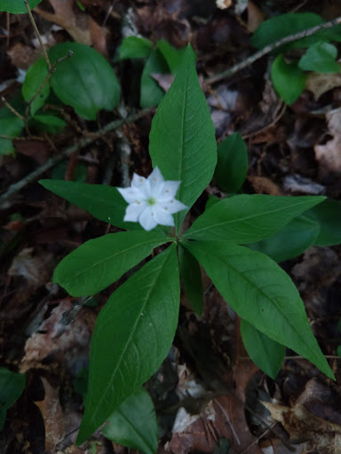 Campground «Boston / Cape Cod KOA Holiday», reviews and photos, 438 Plymouth St, Middleborough, MA 02346, USA