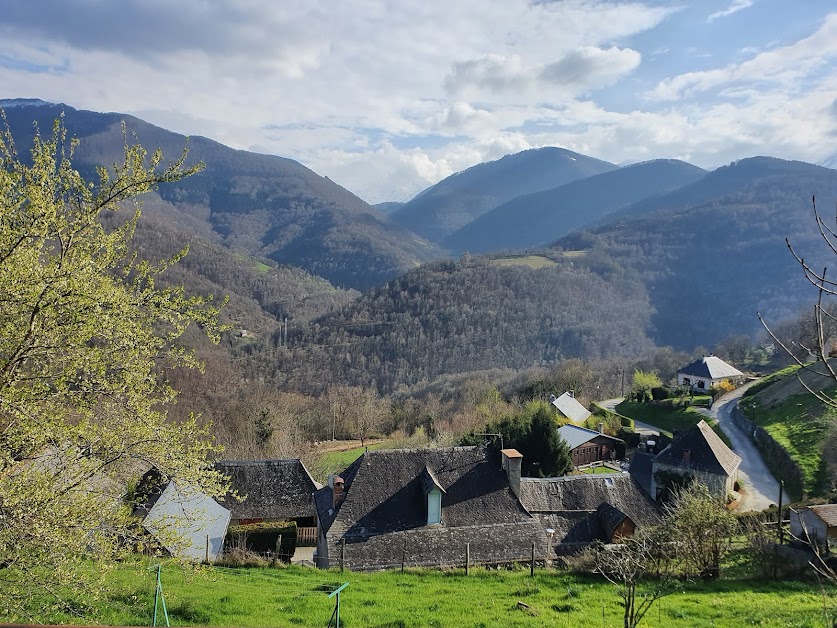 Agence Pyrénées Immobilier (A.P.I) à Saint-Girons (Ariège 09)