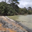 Lynfield Cove Beach