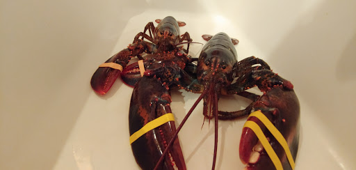 Seafood Market «Parsons Lobsters», reviews and photos, 64 Eagle Lake Rd, Bar Harbor, ME 04609, USA