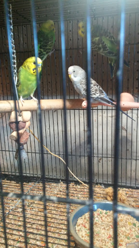 Pet Supply Store «Coastside Critters Pet Supply», reviews and photos, 454 Manor Plaza, Pacifica, CA 94044, USA