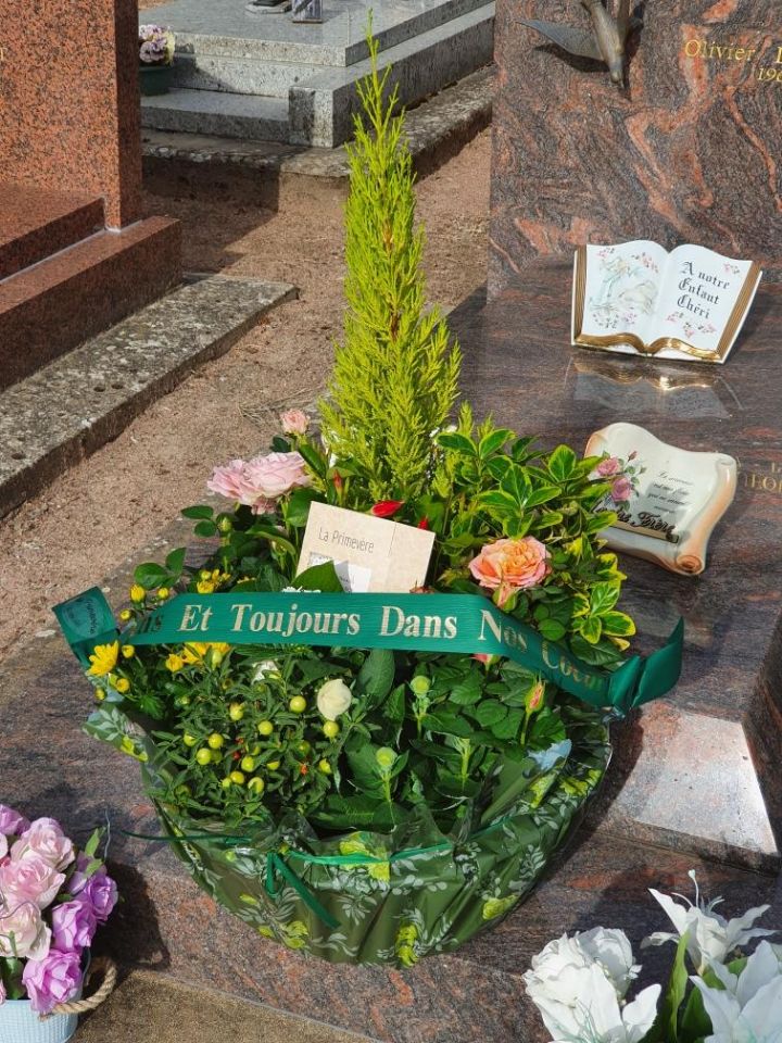 Photo n° 1 de l'avis de Thierry.u fait le 07/07/2020 à 10:11
