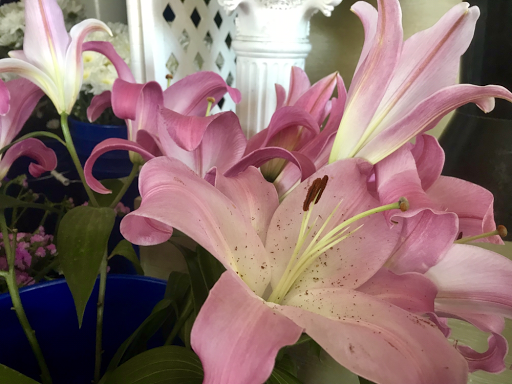 Florist «Flowers With Grace», reviews and photos, 9253 Magnolia Ave, Riverside, CA 92503, USA