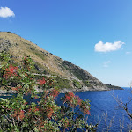 Photo n°12 de l'avis de Gina.o fait le 23/07/2020 à 18:47 sur le  Hotel Club San Diego à Acquafredda