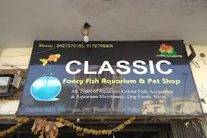 Classic fancy fish aquarium and pet center image