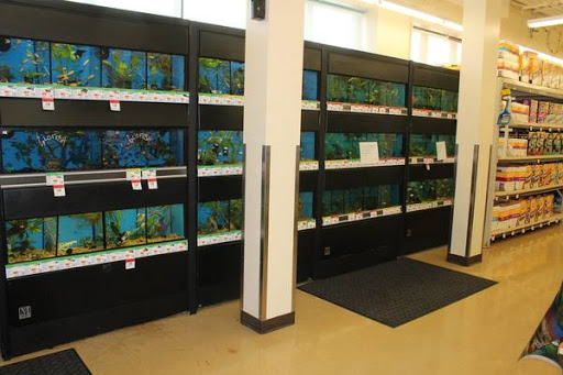 Pet Supply Store «Pet Supplies Plus», reviews and photos, 175 Memorial Ave, West Springfield, MA 01089, USA