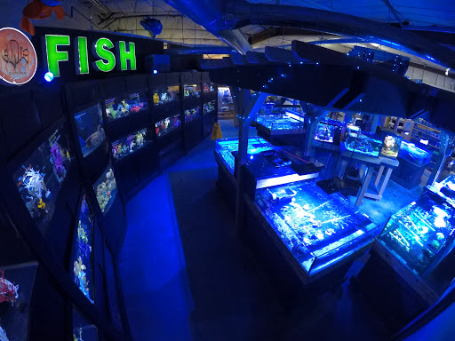 Tropical Fish Store «Elite Reef», reviews and photos, 8410 Wadsworth Blvd F, Arvada, CO 80003, USA