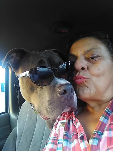 Pet Supply Store «Petco Animal Supplies», reviews and photos, 6761 Westminster Ave, Westminster, CA 92683, USA