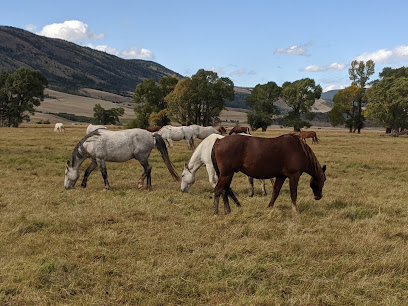 Deerwood Ranch Wild Horse EcoSanctuary