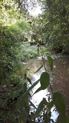 Alluchon à La Roche-sur-Yon