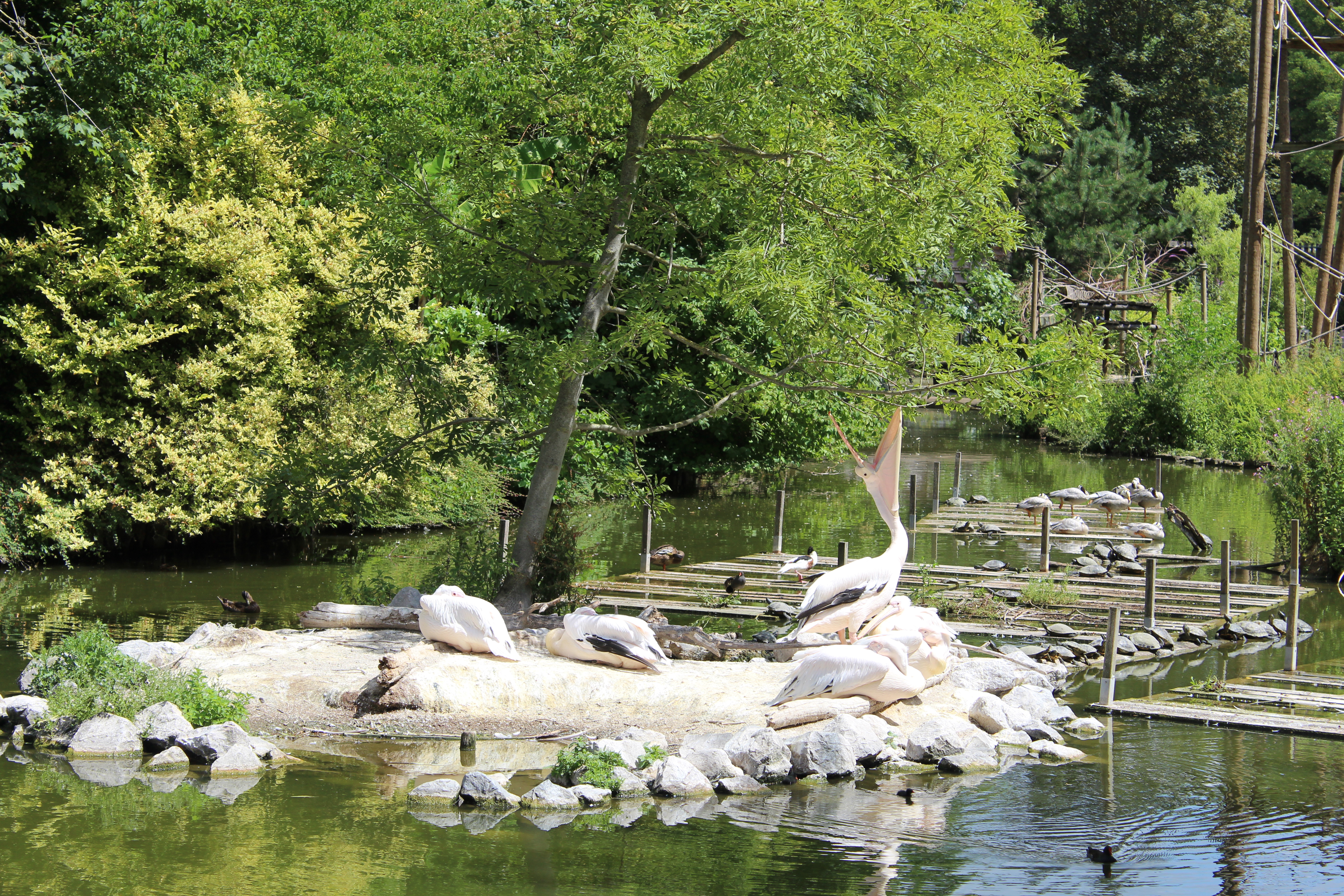 Photo n° 3 de l'avis de Malaurie.u fait le 01/08/2022 à 09:45