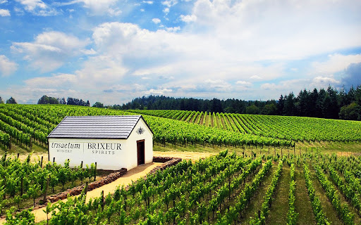 Winery «Trisaetum Winery», reviews and photos, 18401 NE Ribbon Ridge Rd, Newberg, OR 97132, USA