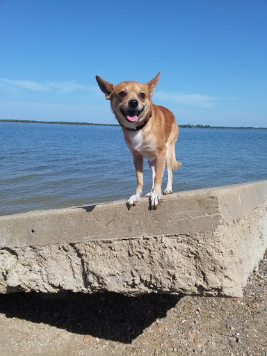 State Park «Cedar Hill State Park», reviews and photos, 1570 FM1382, Cedar Hill, TX 75104, USA