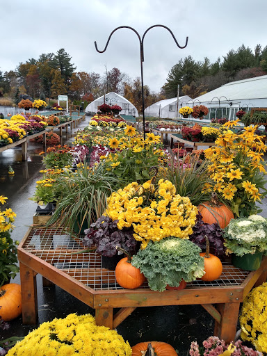 Florist «Nunan Florist & Greenhouses», reviews and photos, 269 Central St, Georgetown, MA 01833, USA