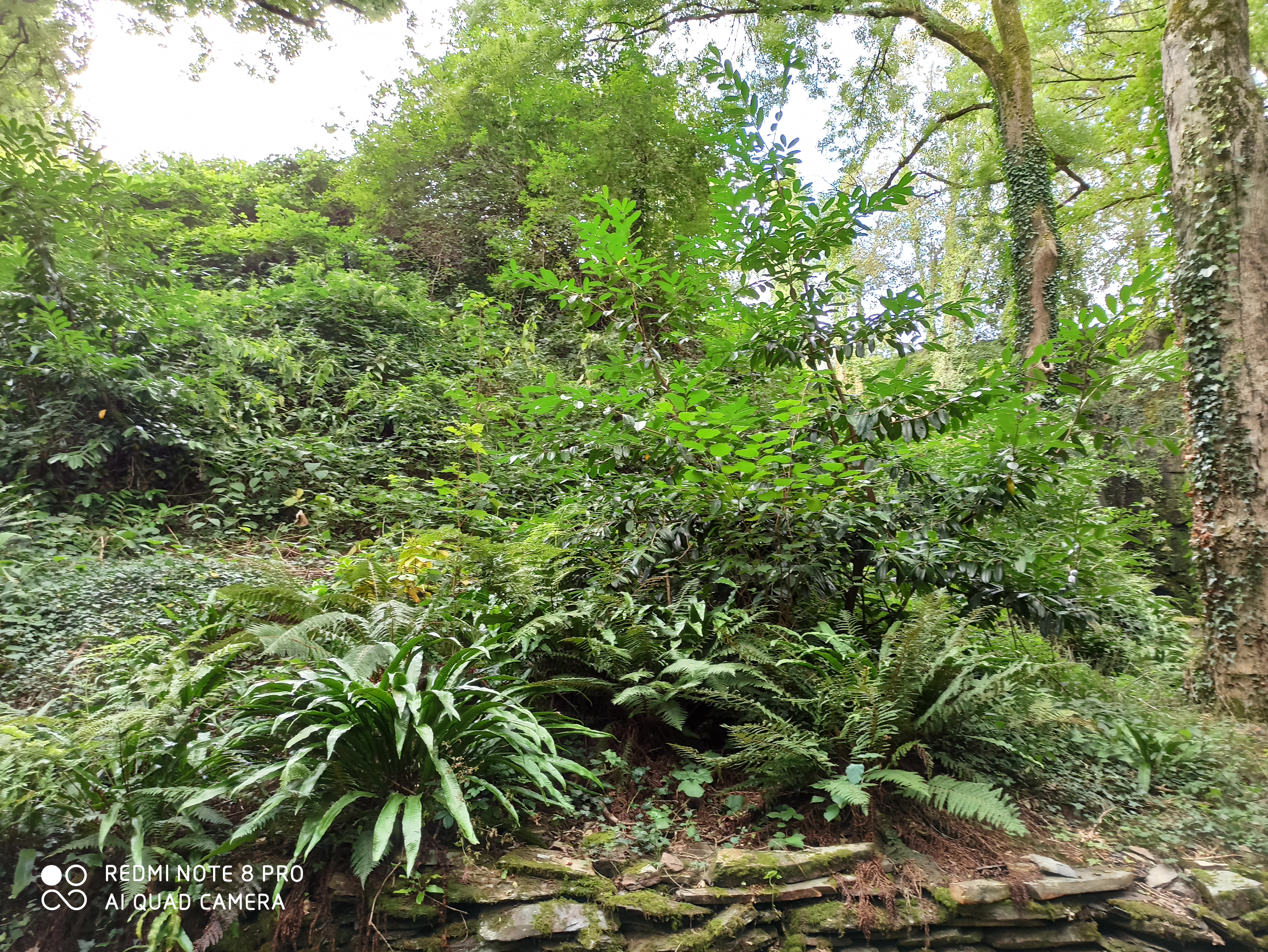 Photo n° 2 de l'avis de Alla.a fait le 25/08/2020 à 08:53