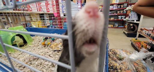 Pet Needs Etc, 28325 Telegraph Rd, Flat Rock, MI 48134, USA, 