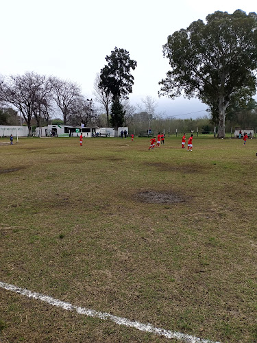 Opiniones de Cancha de Racing. en Montevideo - Campo de fútbol