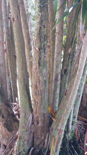 Golf Club «Manatee County Golf Course», reviews and photos, 6415 53rd Ave W, Bradenton, FL 34210, USA