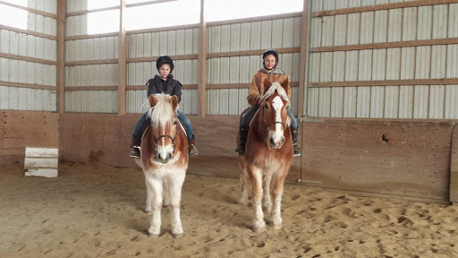 Horse Riding School «Horseng Farm LLC», reviews and photos, 6475 Warden Rd, New Tripoli, PA 18066, USA