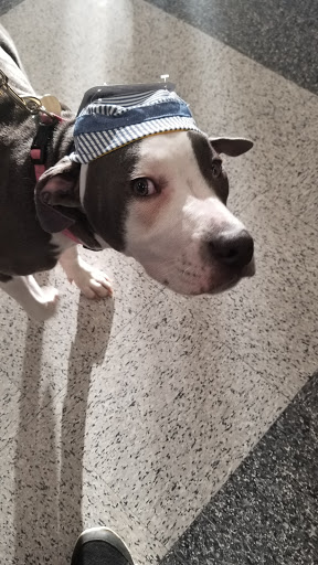 Pet Supply Store «Petco Animal Supplies», reviews and photos, 4345 U.S. 9, Freehold, NJ 07728, USA